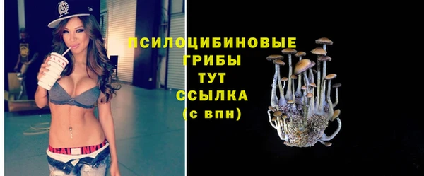 дурь Надым