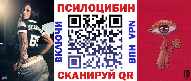 Галлюциногенные грибы Cubensis  kraken tor  Няндома 
